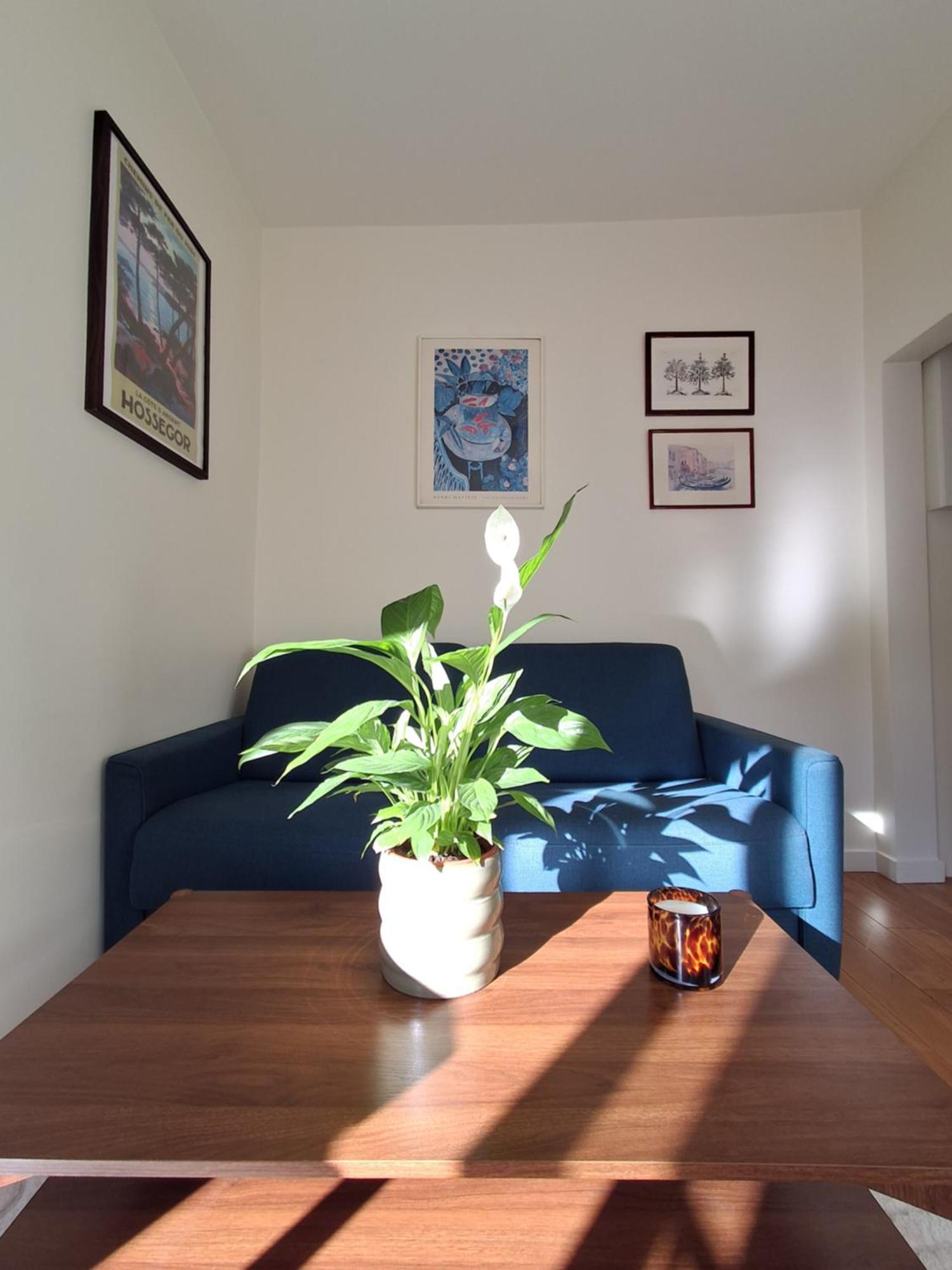 Eiffel Tower Family *